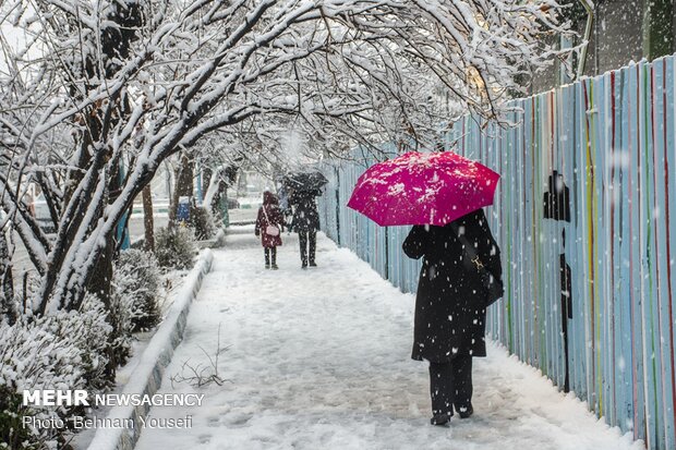 بارش برف بهاری در کرمانشاه /دمای هوا کاهش محسوس می یابد
