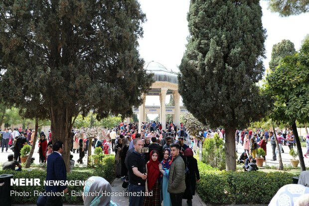 Shiraz tourist attractions in spring