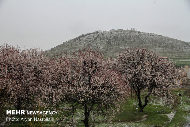 بارش باران و سیلاب در سنندج