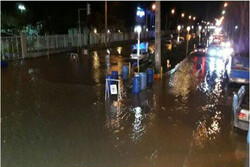 پیشروی سیلاب تا آسایشگاه کهریزک/۳روستا در جنوب تهران تخلیه شد
