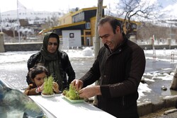 روز طبیعت در همدان همراه با وزش باد شدید/ دمای هوا منفی ۳ می شود