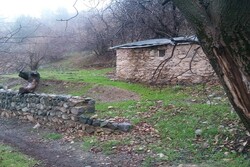 ۷ اثر طبیعی کرمان در فهرست آثار ملی ثبت شد