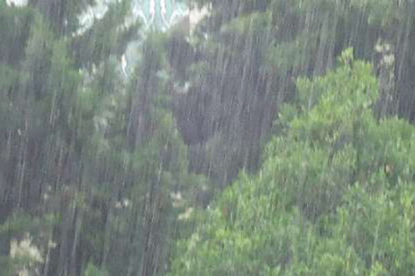 بارش ها در زنجان ۲۹ درصدرشد دارد