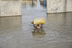 خسارت ناشی از سیل خوزستان جبران می شود