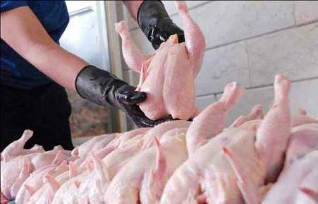 ۲.۴ میلیون تن گوشت مرغ امسال تولید می‌شود