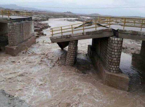 باكستان تؤكد استمرار دعمها لمنكوبي السيول في ايران