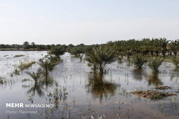 آخرین وضعیت روستای سیل زده دریسیه