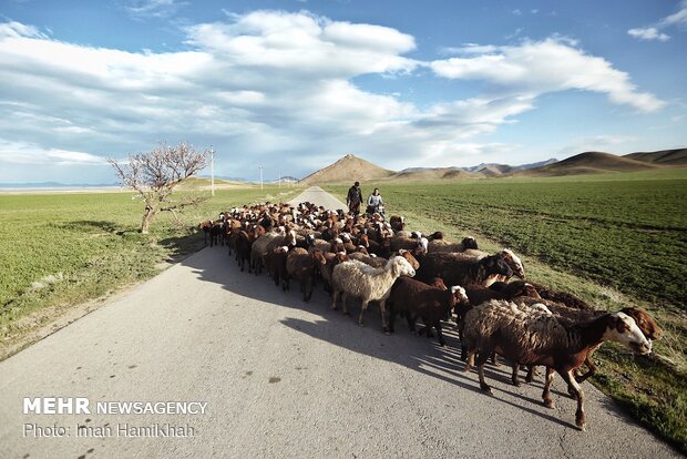 بوی خوش بهار