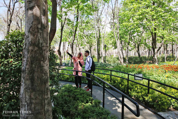 A spring day at Iranian Art Museum Garden  