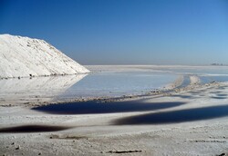 Recent rainfall reduces SDSs in north central Iran