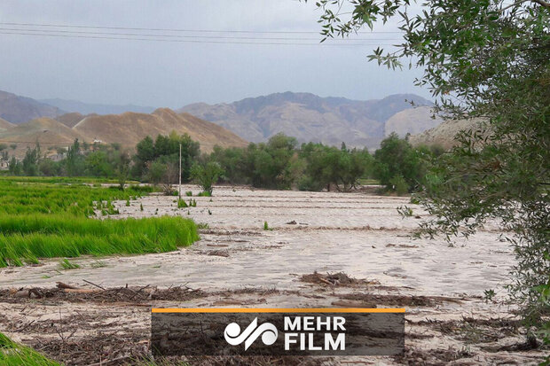 صوبہ خراسان رضوی میں سیلاب سے متعدد گاڑیاں تباہ