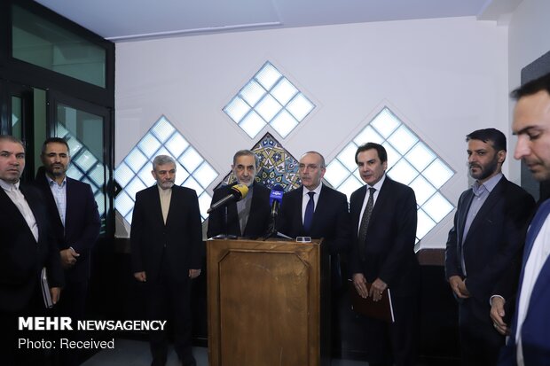 Italian Senate's President of the Foreign Affairs Committee visits Velayati