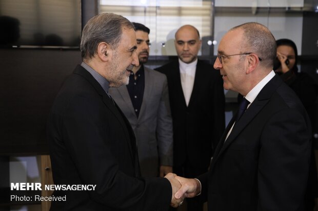 Italian Senate's President of the Foreign Affairs Committee visits Velayati