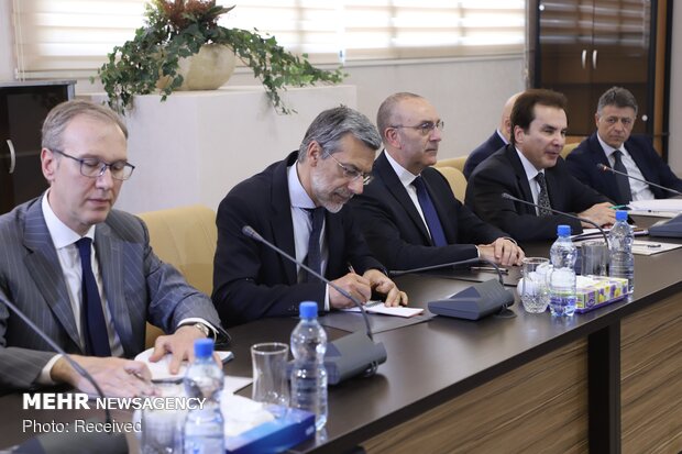 Italian Senate's President of the Foreign Affairs Committee visits Velayati