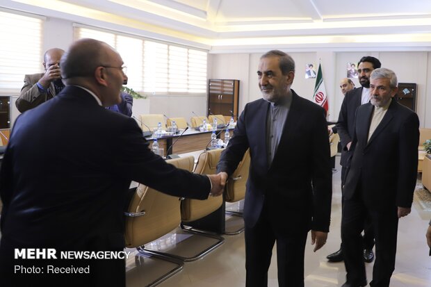 Italian Senate's President of the Foreign Affairs Committee visits Velayati