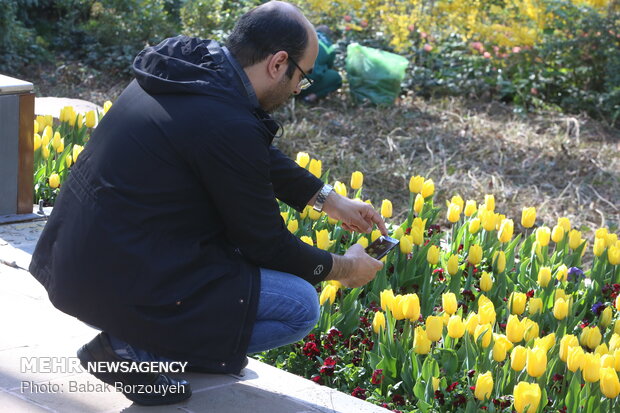 یک روز آفتابی در باغ ایرانی