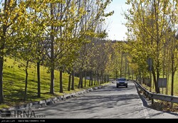 Unprecedented clean air in Tehran