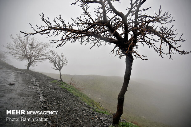 Incessant springtime rainfalls reach Mashhad