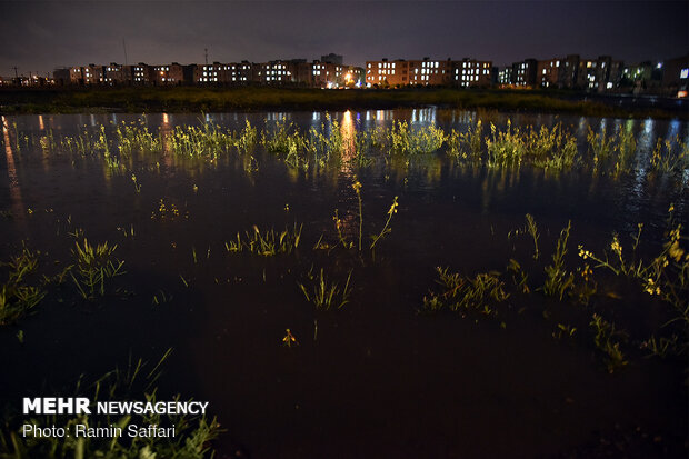 Incessant springtime rainfalls reach Mashhad