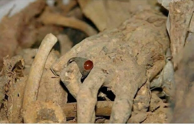 ئێسک و پروسکی 400 قوربانیی لە گۆڕێکی بەکۆمەڵی نەینەوا دۆزرایەوە