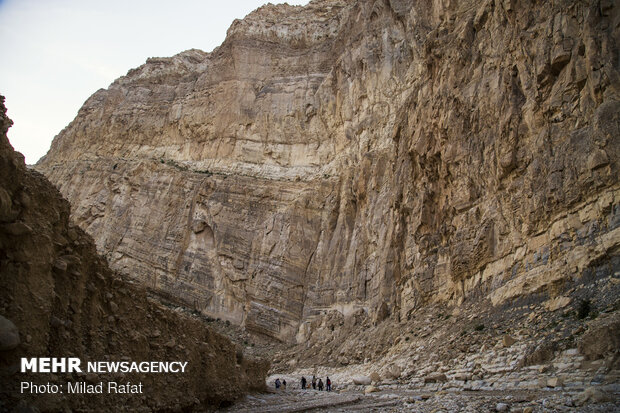 جهاد در پشت کوه 