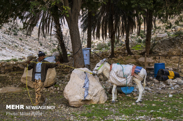 جهاد در پشت کوه 