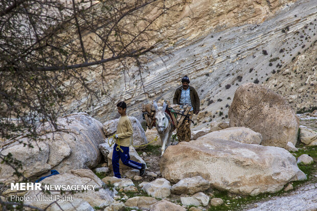 جهاد در پشت کوه 