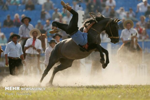 رام کردن اسب در اروگوئه