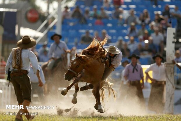 رام کردن اسب در اروگوئه