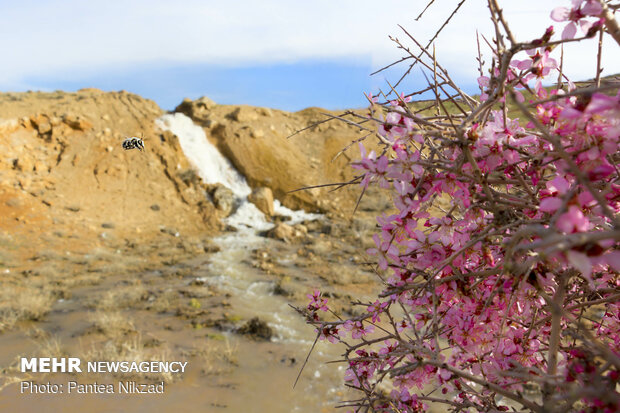 حال خوب سدهای خاکی چهارمحال