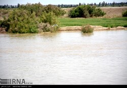After deluge Helmand River springs back to life