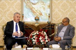 we seek expanding bilateral economic relations with Tehran: Bosnian diplomat