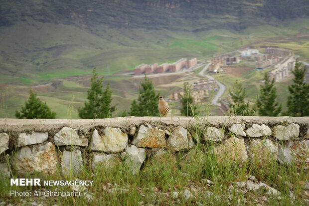 Beauties of Pol-e Dokhtar with breathtaking views