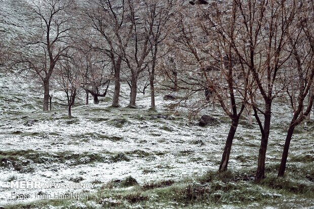 Springtime Snow in Hamedan