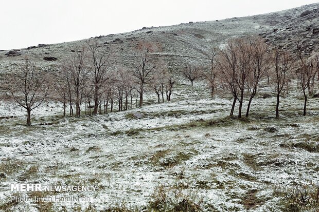 Springtime Snow in Hamedan