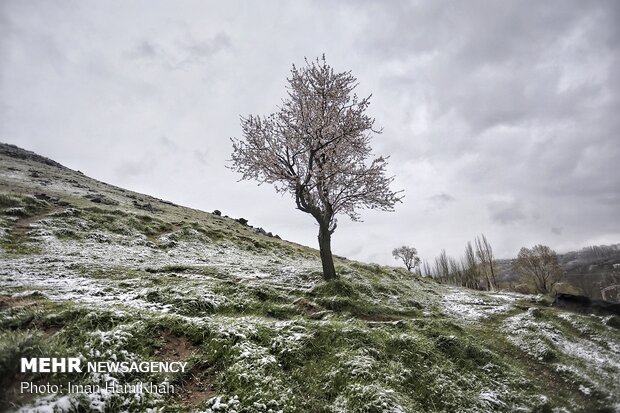 Springtime Snow in Hamedan