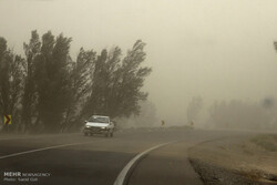 Particulate matters 20 times above safe levels in southeastern Iran