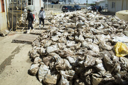 سفر  وزیر تعاون، کار و رفاه اجتماعی به مناطق سیل زده گلستان