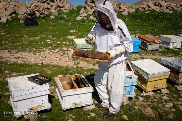 Relief foundation helps beekeeper gain financial stability 