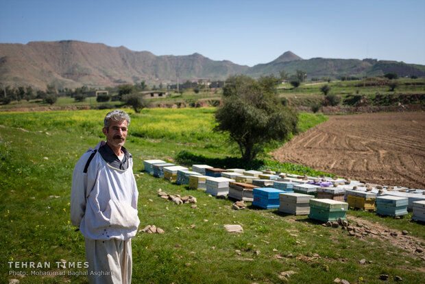 Relief foundation helps beekeeper gain financial stability 