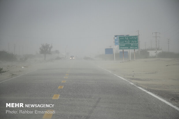 ICMO uses insecticides to control locust swarms in southern Iran