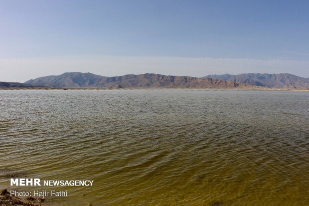 Rainfalls revive 'Komjan' wetland in Fars prov.
