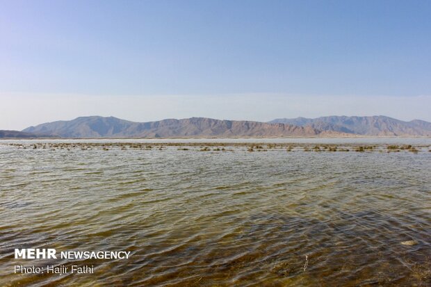Rainfalls revive 'Komjan' wetland in Fars prov.
