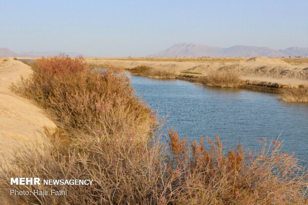 Rainfalls revive 'Komjan' wetland in Fars prov.
