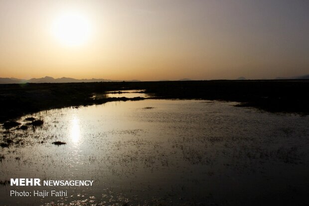 Rainfalls revive 'Komjan' wetland in Fars prov.
