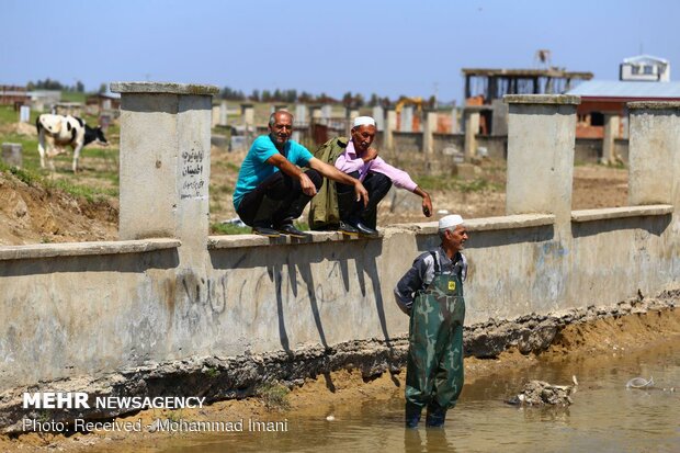 Floods hit Aqqala again