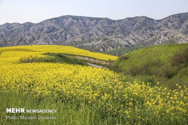 Scenic spring in North Khorasan province