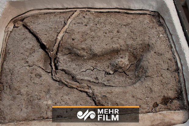 VIDEO: 15k-year-old human footprint found in Chile