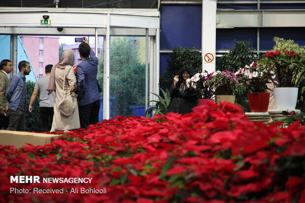 The 17th Tehran International Exhibition of Flowers and Plants