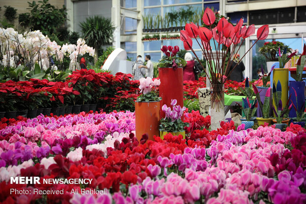 The 17th Tehran International Exhibition of Flowers and Plants